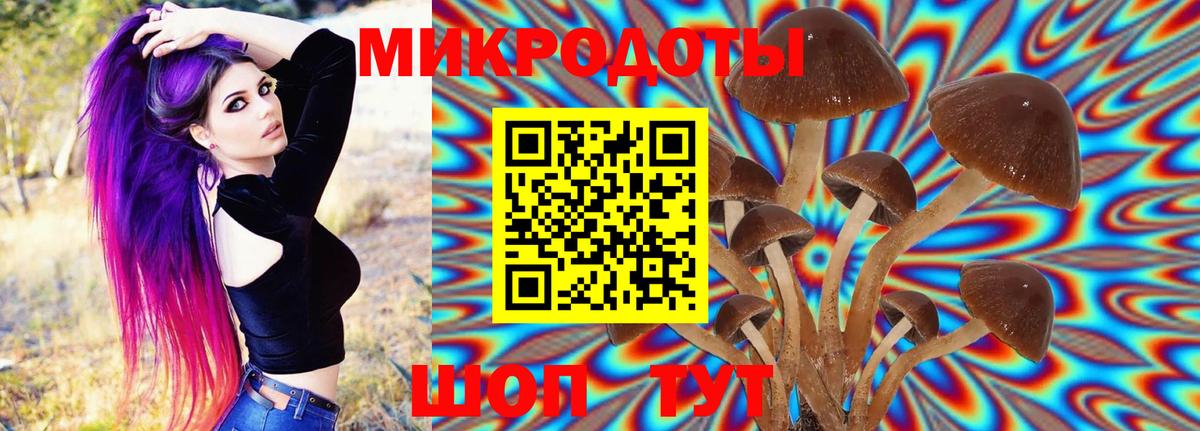 Псилоцибиновые грибы ЛСД Чайковский