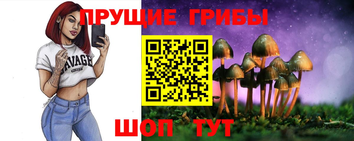 Галлюциногенные грибы прущие грибы  Вход с VPN  Чайковский 